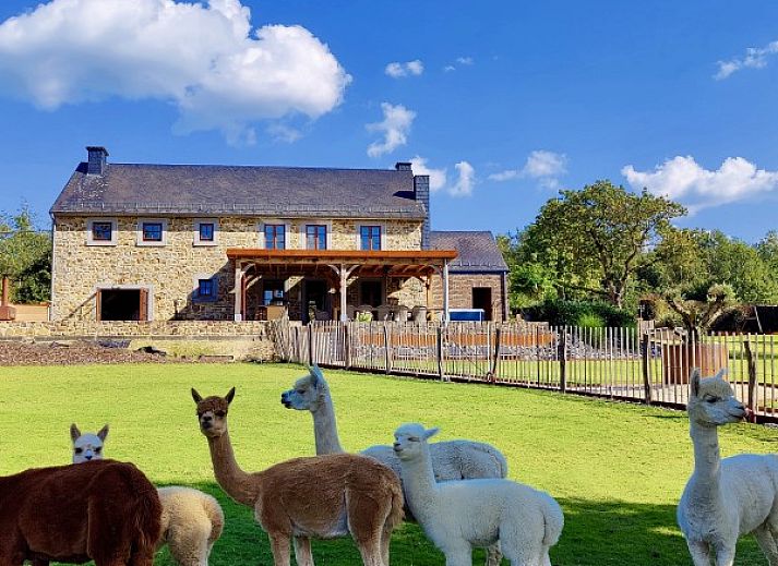 Gezellige buitenzitplek met open haard bij La Ferme des Fermiers, een vakantiehuis in de Ardennen, Erezee.