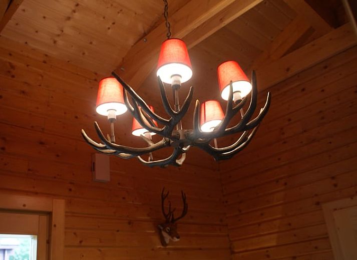 Cottage in Erezee, a charming cottage in the Ardennes, Luxembourg, Belgium, surrounded by nature and rustic autumn colors.