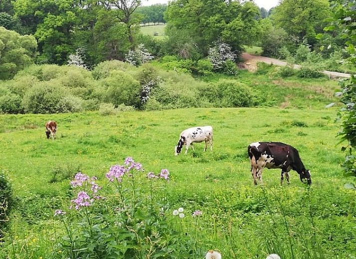 Rugged all-terrain vehicle next to Holiday home in Our, Ardennes, Belgium, ideal for adventurers.
