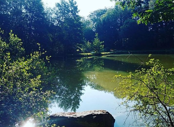 Guest house 0972501 - Chalet Luxembourg - Vakantiehuisje in Our