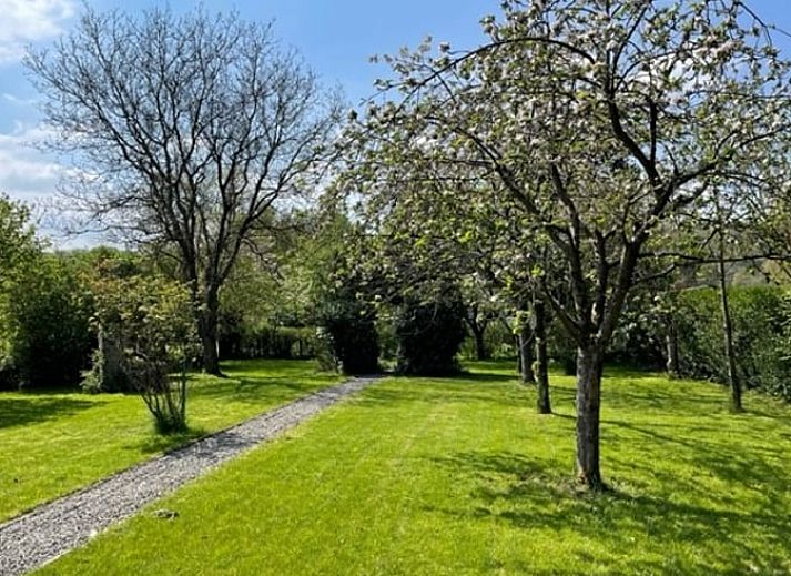 Unterkunft 099107 - Ferienhaus Luxemburg - Huisje in Hotton