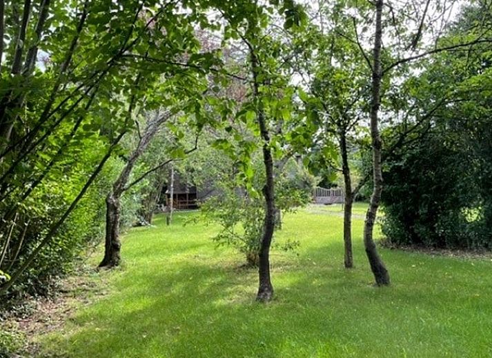 Unterkunft 099107 - Ferienhaus Luxemburg - Huisje in Hotton