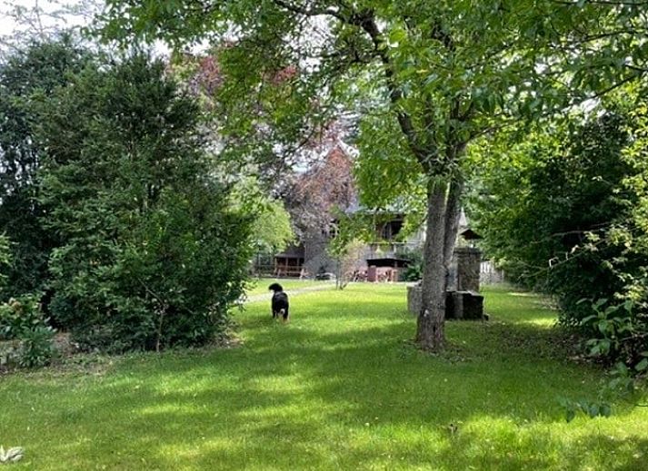 Unterkunft 099107 - Ferienhaus Luxemburg - Huisje in Hotton