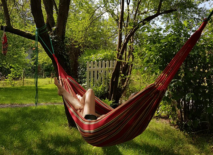 Unterkunft 099107 - Ferienhaus Luxemburg - Huisje in Hotton