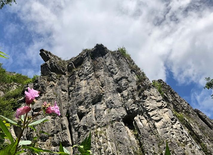 Unterkunft 099107 - Ferienhaus Luxemburg - Huisje in Hotton