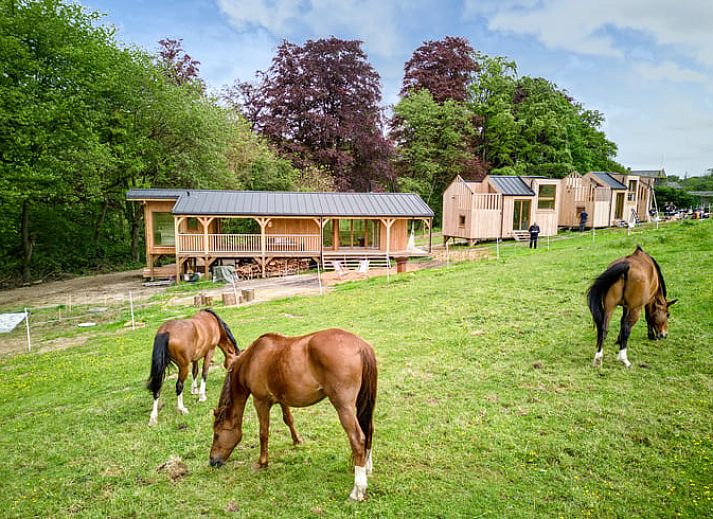 Unterkunft 100204 - Ferienhaus Wallonisch Brabant - Vakantiehuisje in Villers-la-ville