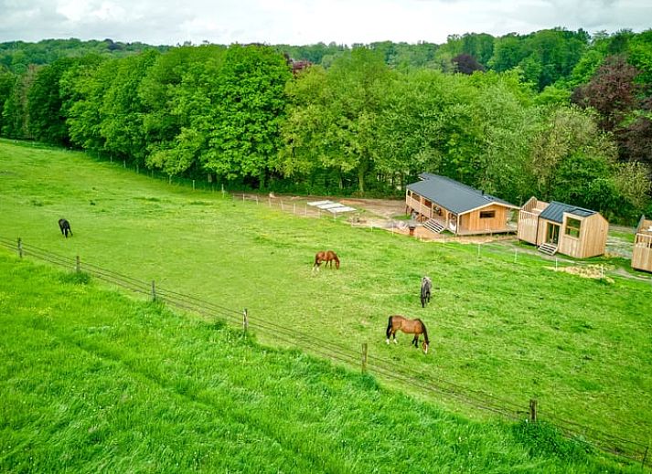Unterkunft 100204 - Ferienhaus Wallonisch Brabant - Vakantiehuisje in Villers-la-ville
