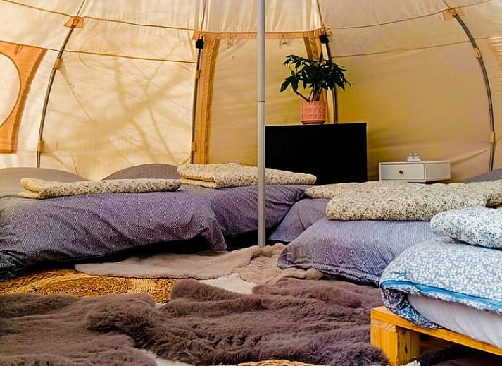 Luftaufnahme eines Ferienhauses in Waterloo, Wallonisch-Brabant, Belgien, mit gruenem Garten, Schwimmbad und umliegender Natur.