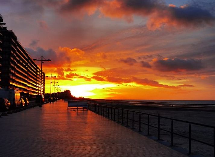 Verblijf 110115 - Appartement Belgische kust - Studio met Zeezicht Darwin