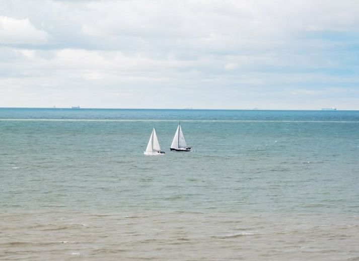 Verblijf 110115 - Appartement Belgische kust - Studio met Zeezicht Darwin