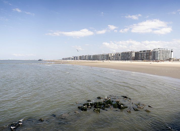 Uitzicht op de jachthaven nabij Appartement Key Point, centraal gelegen in Blankenberge aan de Belgische kust.