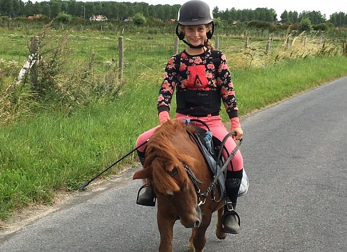 Essecke mit Aussicht im Ferienhaus Domaene Rietvelde, Oostduinkerke, Belgien.