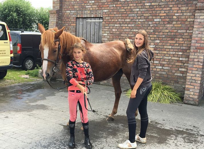 Gemuetliche Sitzecke im Ferienhaus Domein Rietvelde, Oostduinkerke.
