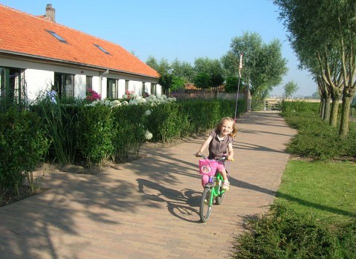 Gezellig terras bij Knotwilgenhoeve B&B in Knokke-Heist met bloeiende tuin.
