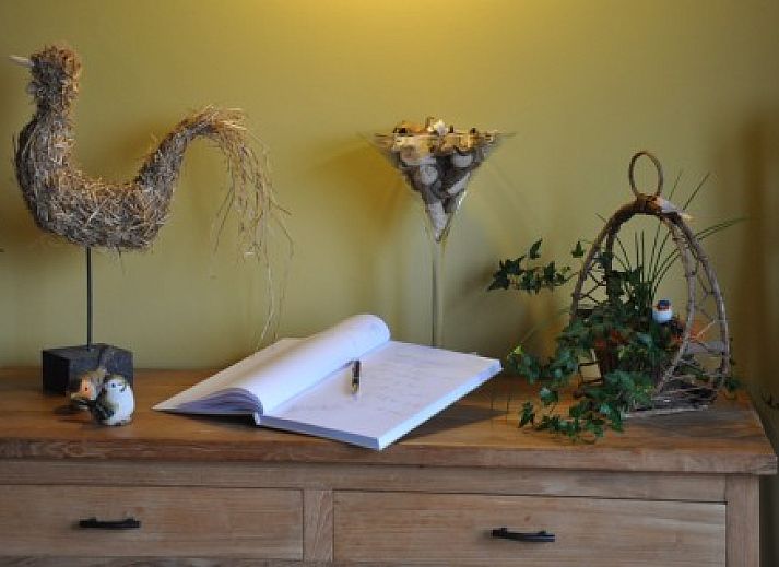 Gezellig terras bij Knotwilgenhoeve B&B in Knokke-Heist met bloeiende tuin.