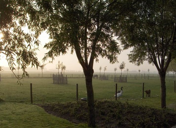 Gezellig terras bij Knotwilgenhoeve B&B in Knokke-Heist met bloeiende tuin.