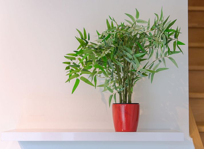 Gezellige woonkamer van Appartement Ter Duinen in Bredene, Belgische kust, met modern interieur en uitzicht op de stad.