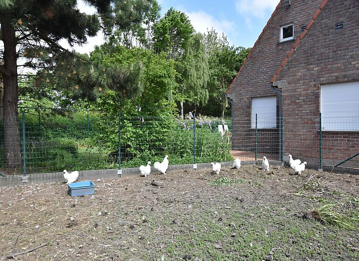 Verblijf 1109141 - Vakantiewoning Belgische kust - Valkenhorst