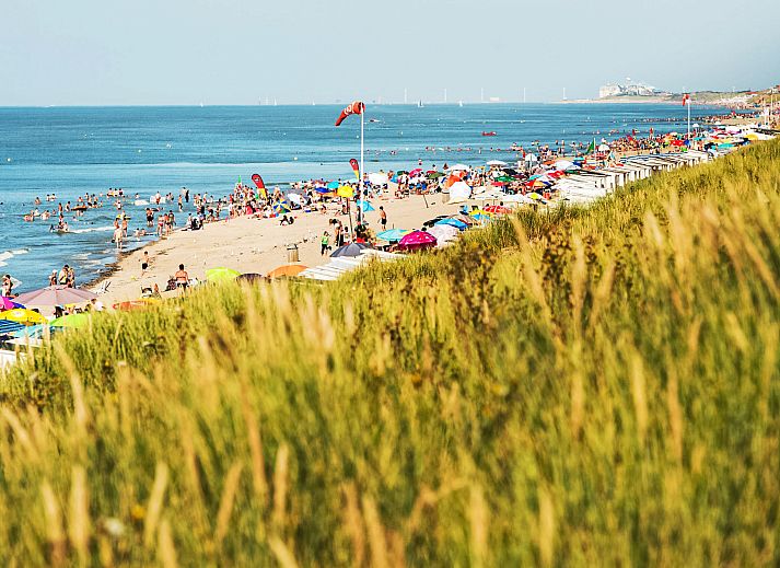Entspannen Sie sich im sonnigen Garten des Ferienhauses Visserhuis 09/20 in Bredene, an der belgischen Kueste, mit bequemen Liegestuehlen und gruener Umgebung.
