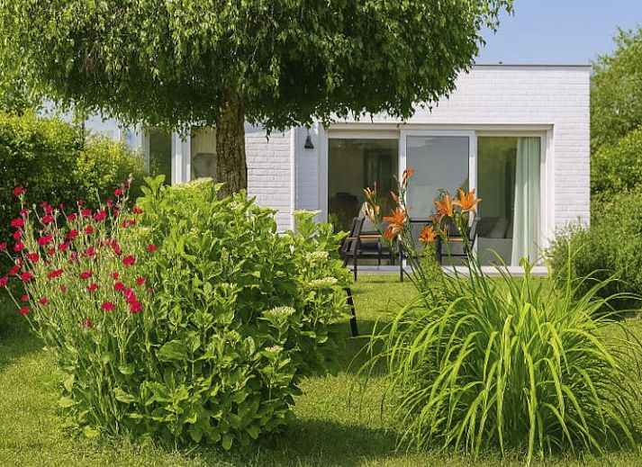 Helle Kueche im Ferienhaus sea-kret, Bredene, belgische Kueste, mit modernen Geraeten und Gartenblick.