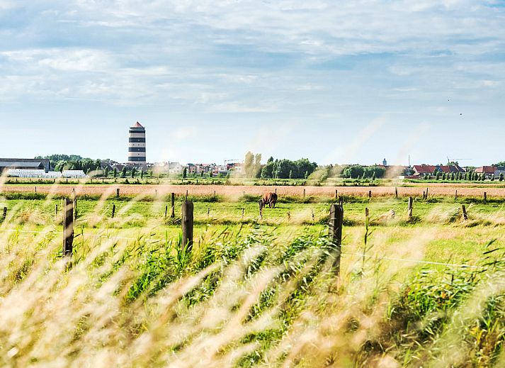 Apartment Studio 62-705 in Bredene, Belgian coast, offers a bright indoor space overlooking the dunes, ideal for a relaxing stay.