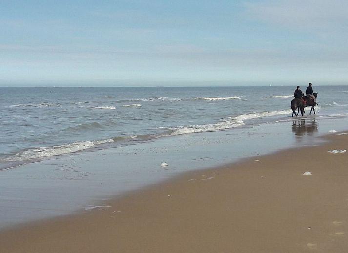 Gezellige buitenruimte Vakantiehuis Duinhoevelaan, Bredene-aan-Zee, met uitzicht op de tuin en zonnige patio.