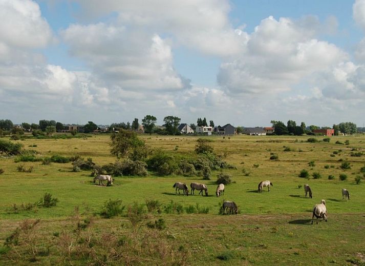 Guest house 110965 - Apartment Belgian Coast - Zeedroom.be