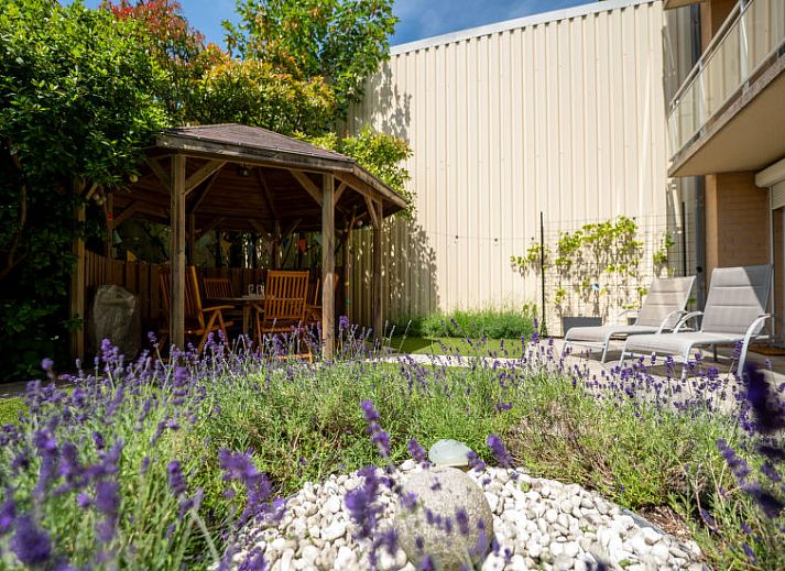 Guest house 110974 - Apartment Belgian Coast - Appartement Leonifi