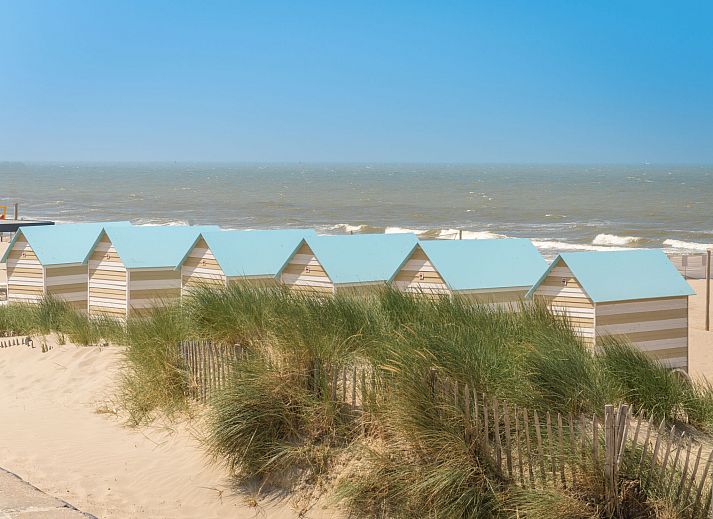 Guest house 110995 - Apartment Belgian Coast - Appartement Rozenhof