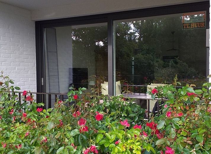 Guest house 1110816 - Apartment Belgian Coast - tmosseltje