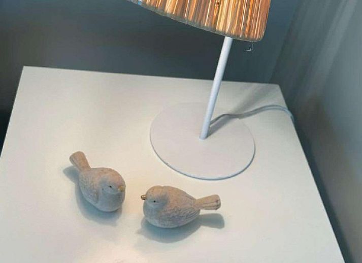 Moderne sauna in Villa Z' Evita, vakantiehuis in Nieuwpoort, perfect voor ontspanning aan de Belgische kust.