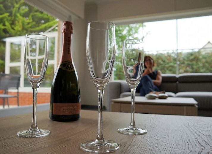 Villa 't mezennestje, charmantes Ferienhaus in Oostduinkerke, belgische Kueste, umgeben von gruener Natur.