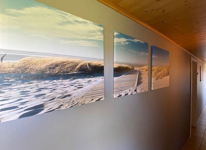 Schoene, von Baeumen umgebene Einfahrt beim Ferienhaus De Torreele in Oostduinkerke, Belgien.