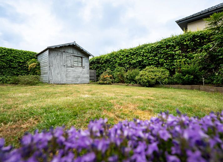 Guest house 1115139 - Holiday property Belgian Coast - Vakantiehuis Villa Polderwind