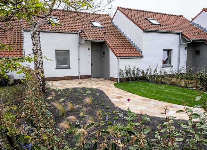 Moderne keuken in A little white house with a tree by the sea, vakantiehuis in Nieuwpoort-Bad, Belgische kust.