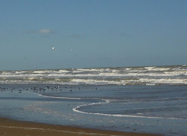 Verblijf 112212 - Vakantiewoning Belgische kust - Duinhoek 70