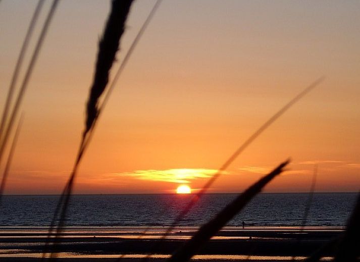 Verblijf 112222 • Appartement Belgische kust •