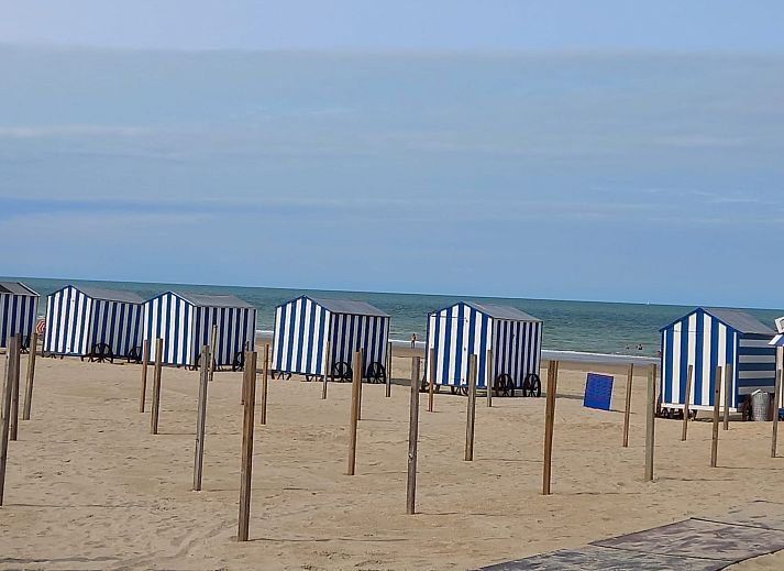 Geniessen Sie Kunst und Meerblick in der Naehe von Holiday home Jonathan Livingston Moewe Ferienhaus in De Panne, belgische Kueste.