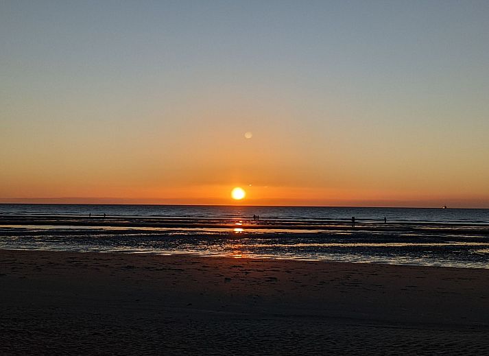 Stilvolles Badezimmer im Ferienhaus Duinendaele II, De Panne, belgische Kueste, mit modernem Dekor und natuerlichen Details.