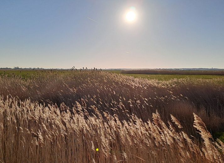 Gezellige zithoek in Vakantieverblijf Wenduine, stacaravan in Wenduine, Belgische kust, met comfortabele banken.