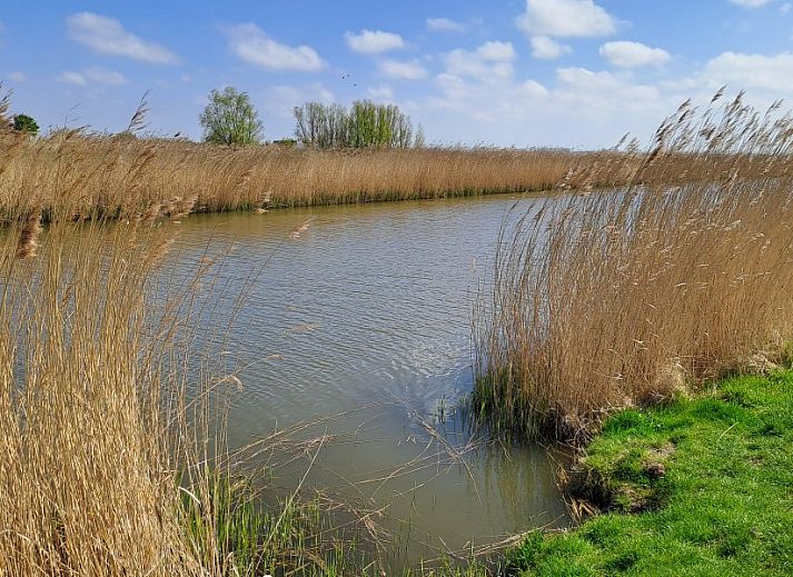 Eetruimte in Vakantieverblijf Wenduine, stacaravan in Wenduine, Belgische kust, met tafel en televisie.