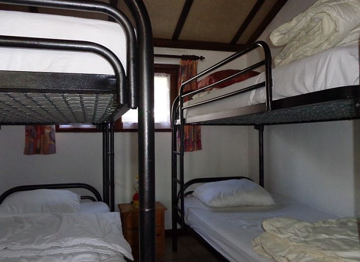 Guest house 113205 - Holiday property Belgian Coast - Duinendaele 263