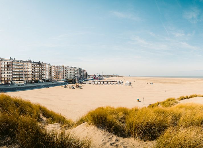 Guest house 113807 - Holiday property Belgian Coast - Familiesuite 2 volwassen - 2 kinderen