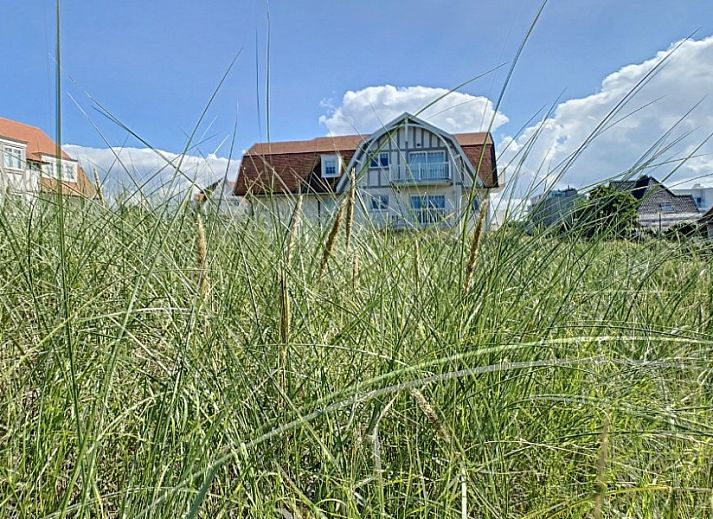 Guest house 116707 - Apartment Belgian Coast - EastDune - 'Tussen Duin & Zee'