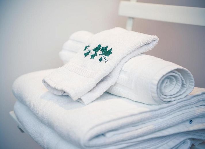 Guest house 1212271 - Bed and Breakfast Brussels Region - B&B Salve