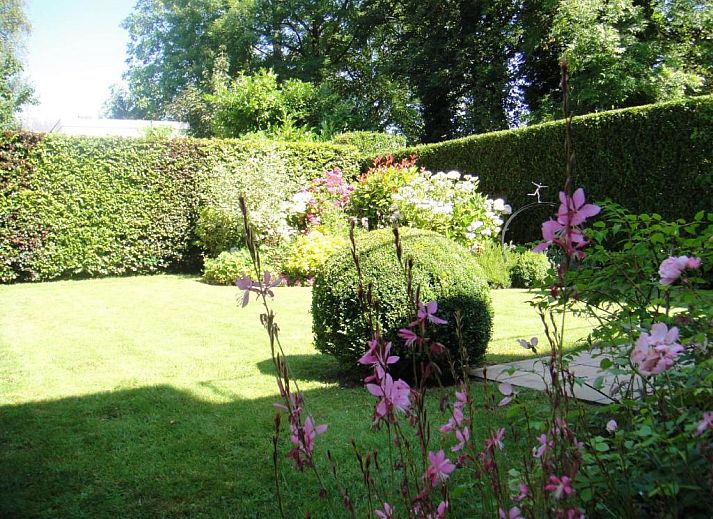 Guest house 1212271 - Bed and Breakfast Brussels Region - B&B Salve