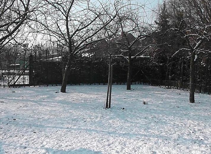 Guest house 140206 - Bed and Breakfast East Flanders - B&amp;B 't Huys van Enaeme