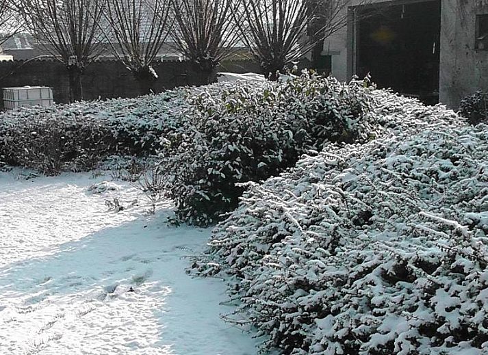 Guest house 140206 - Bed and Breakfast East Flanders - B&amp;B 't Huys van Enaeme