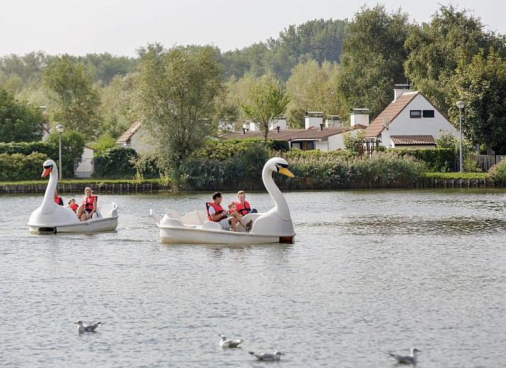 Guest house 141110 - Apartment Belgian Coast - Sunparks Oostduinkerke - Plopsaland