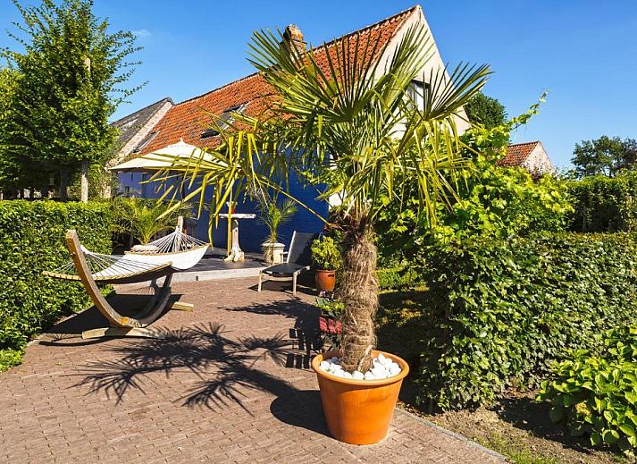 Guest house 160202 - Bed and Breakfast East Flanders - B&amp;B Vinedo